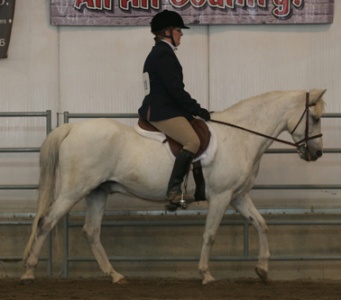 Rangeland Photography