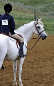 Briarwood Photography