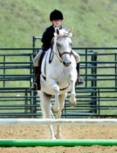 Briarwood Photography