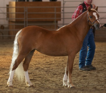 Rangeland Photography