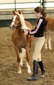 FourCross Photography