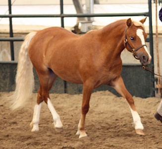 FourCross Photography