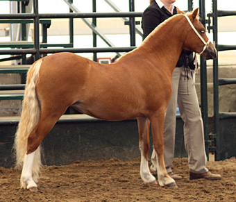 FourCross Photography