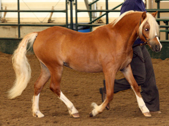 FourCross Photography