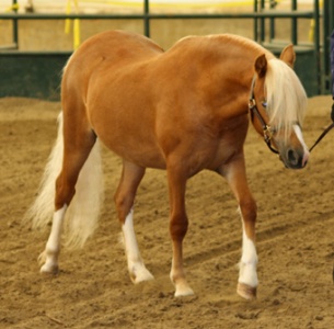 FourCross Photography