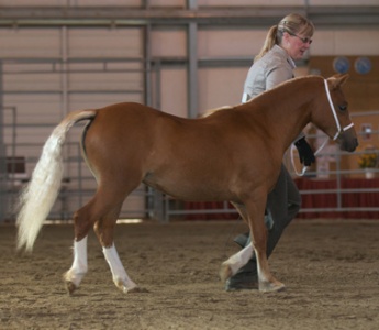 Rangeland Photography
