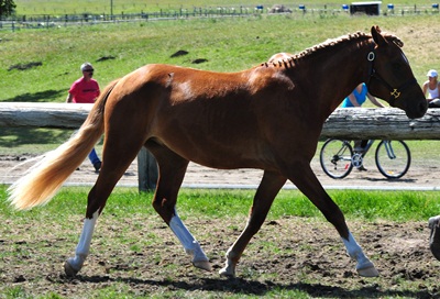 Briarwood Photography