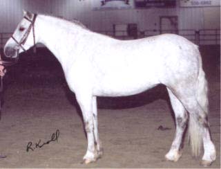 Rick Kroll Photography