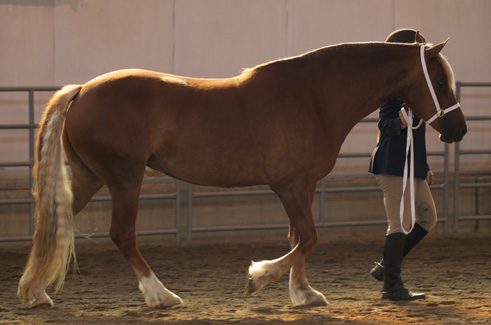 Rangeland Photography